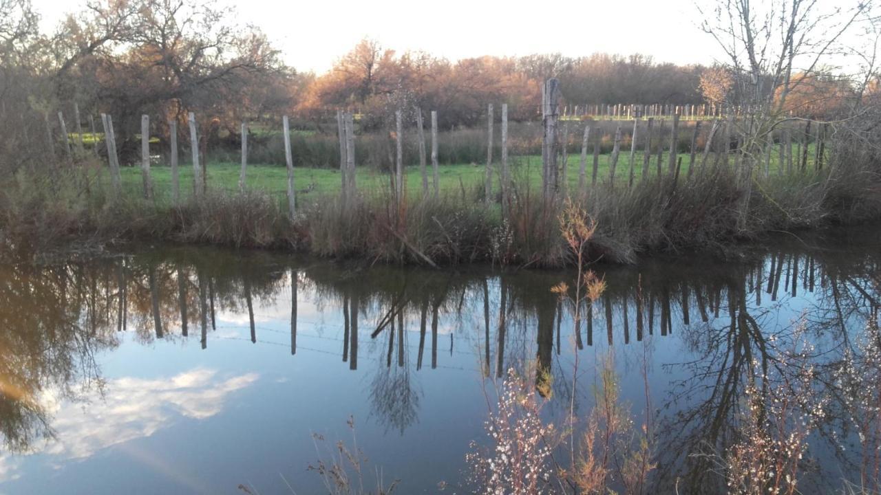 Nostal'Gite Lansargues Bagian luar foto